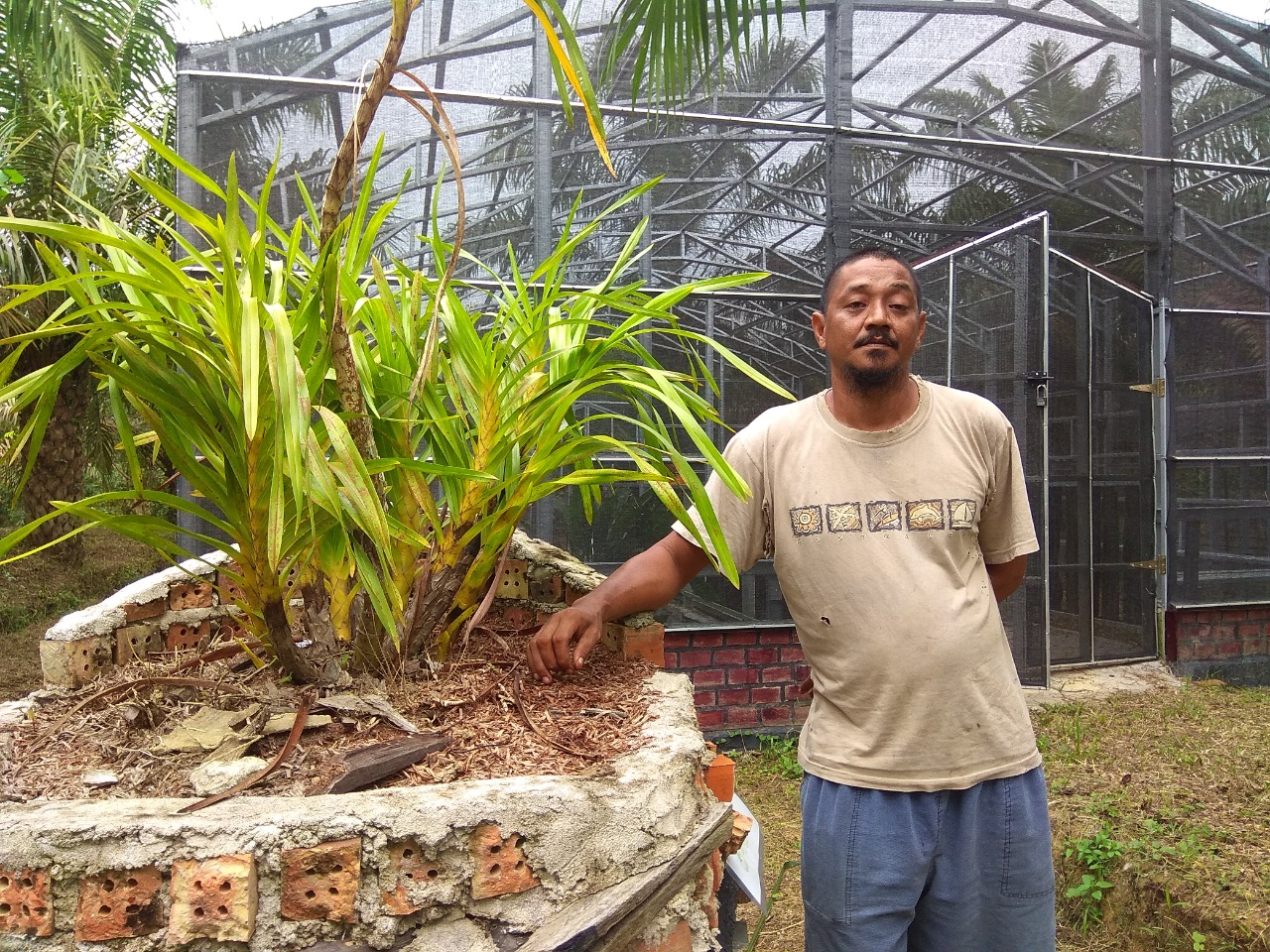 Adi Ismanto has been fighting for 11 years to save the Muaro Jambi orchids with the help of the Gerakan Muaro Jambi Bersakat community ©Yitno Suprapto