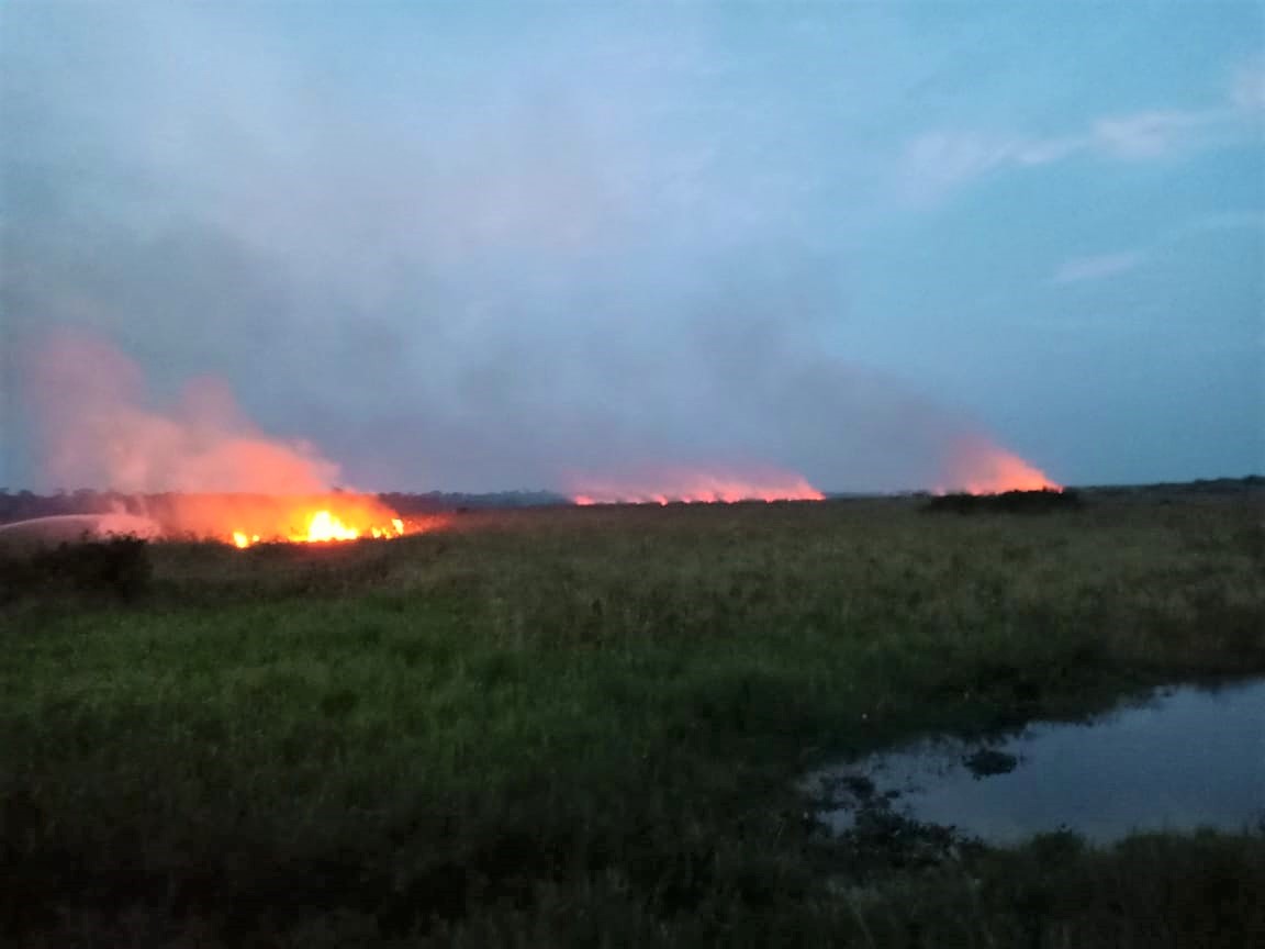 Api yang masih berkobar hingga petang di area PT Kharisma.©Polres Muaro Jambi