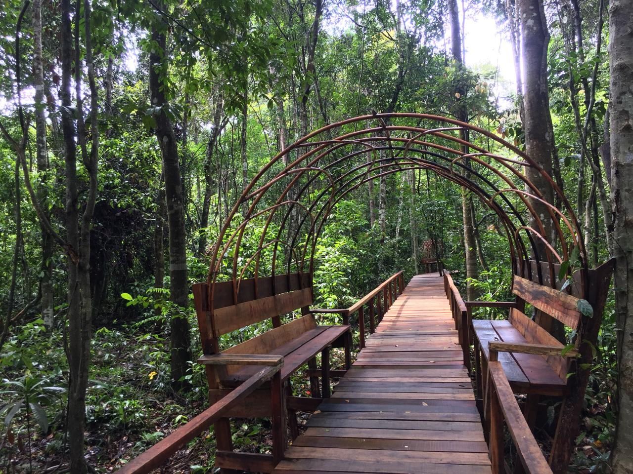 Jalur trekking sepanjang 150 meter untuk pengunjung menikmati suasana hutan rawa gambut di Taman Ekowisata Kebon Sari, 6 Oktober 2020. Dokumentasi: Komunitas Konservasi Indonesia (KKI) Warsi