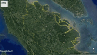 Visualisasi peta perubahan tutupan lahan di Riau. ©Pantau Gambut