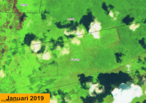 Gambar 4. Hasil verifikasi citra satelit mengenai indikasi kehilangan tutupan pohon di Desa Garung, Kabupaten Pulang Pisau