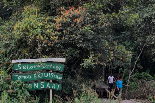 Taman Ekowisata Kebon Sari di Desa Pematang Rahim, Tanjung Jabung Timur, Jambi, 14 Oktober 2021. © Yitno Suprapto