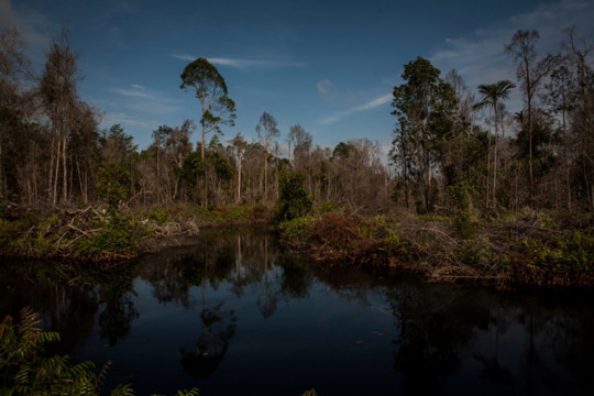 Kredit Foto © Anna Wang/Greenpeace