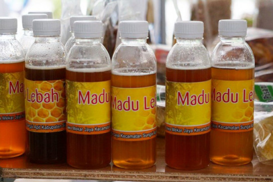 Madu hutan adalah salah satu komoditas andalan masyarakat yang dipamerkan dalam Jambore Masyarakat Gambut. © Ferry Irawan/Kordinator Simpul Jaringan Pantau Gambut Jambi