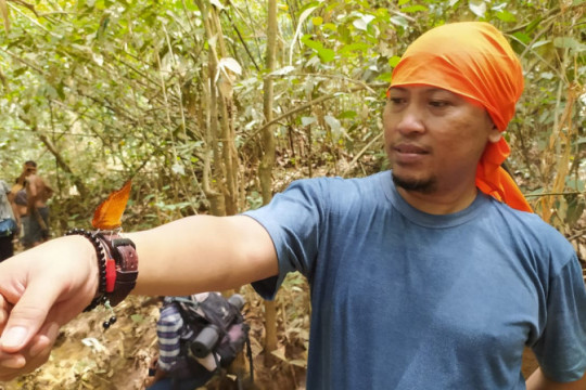 Direktur Eksekutif Walhi Kalteng dan Koordinator Simpul Jaringan Pantau Gambut Provinsi Kalteng