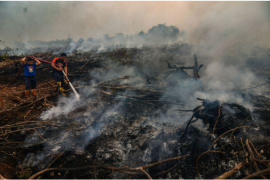 Kredit Foto ©Wahyudi