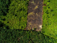 Foto lahan gambut dari udara. © Nanang Sujana/CIFOR