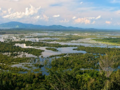 © Danar Tri Atmojo untuk Pantau Gambut