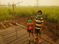 Anak-anak menjadi korban kebakaran besar 2015. © Aulia Erlangga/CIFOR