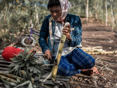 Pengelolaan hutan dengan mengedepankan ekosistem dan kearifan lokal dapat meningkatkan pendapatan masyarakat. © Danar Tri Atmojo