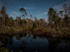 Kredit Foto © Anna Wang/Greenpeace