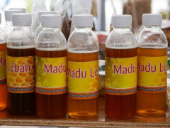 Madu hutan adalah salah satu komoditas andalan masyarakat yang dipamerkan dalam Jambore Masyarakat Gambut. © Ferry Irawan/Kordinator Simpul Jaringan Pantau Gambut Jambi