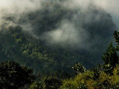 Taman Nasional Kerinci Seblat, Sumatra, Indonesia. © Luke Mackin/Flickr