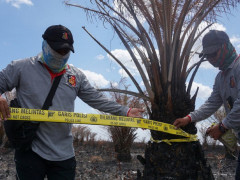Penyelidikan kasus kebakaran hutan ©Donny Muslim