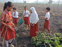 Pembelajaran pengenalan lingkungan kepada siswa SDN Suka Makmur ©Malinda