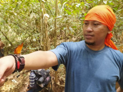 Direktur Eksekutif Walhi Kalteng dan Koordinator Simpul Jaringan Pantau Gambut Provinsi Kalteng