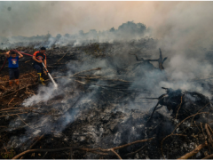 Kredit Foto ©Wahyudi