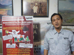 Direktur Eksekutif Walhi Sumsel dan Koordinator Simpul Jaringan Pantau Gambut Kalsel ©Malinda