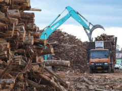 ©Ulet Ifansasti/Greenpeace