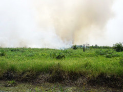 Situasi kebakaran lahan di Muntialo. Area ini juga diketahui masuk dalam wilayah moratorium dan fungsi lindung gambut. © Feri Irawan/Perkumpulan Hijau