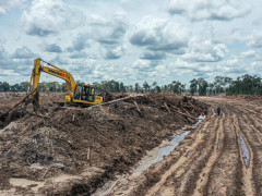 © Muhamad Habibi / Save Our Borneo / Greenpeace