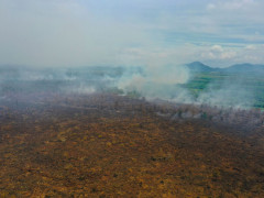 Karhutla di Kalimantan Barat pada April 2026 (©Walhi Kalbar)