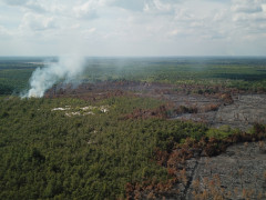 Karhutla di Kereng Pangi, Katingan, Kalimantan Tengah ©WALHI Kalteng