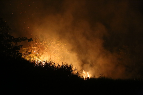 Kebakaran lahan gambut ©Feri Irawan