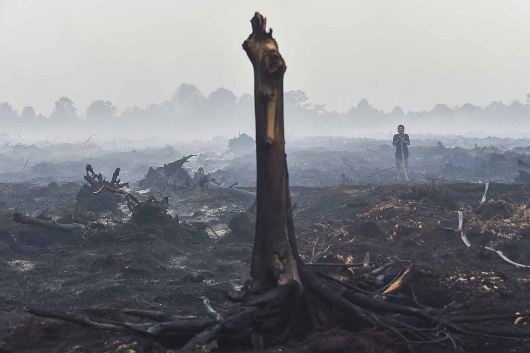 Kebakaran di lahan gambut Desa Gambut Jaya, Muaro Jambi, Jambi, 25 Juli 2025. Antara/Wahdi Septiawan