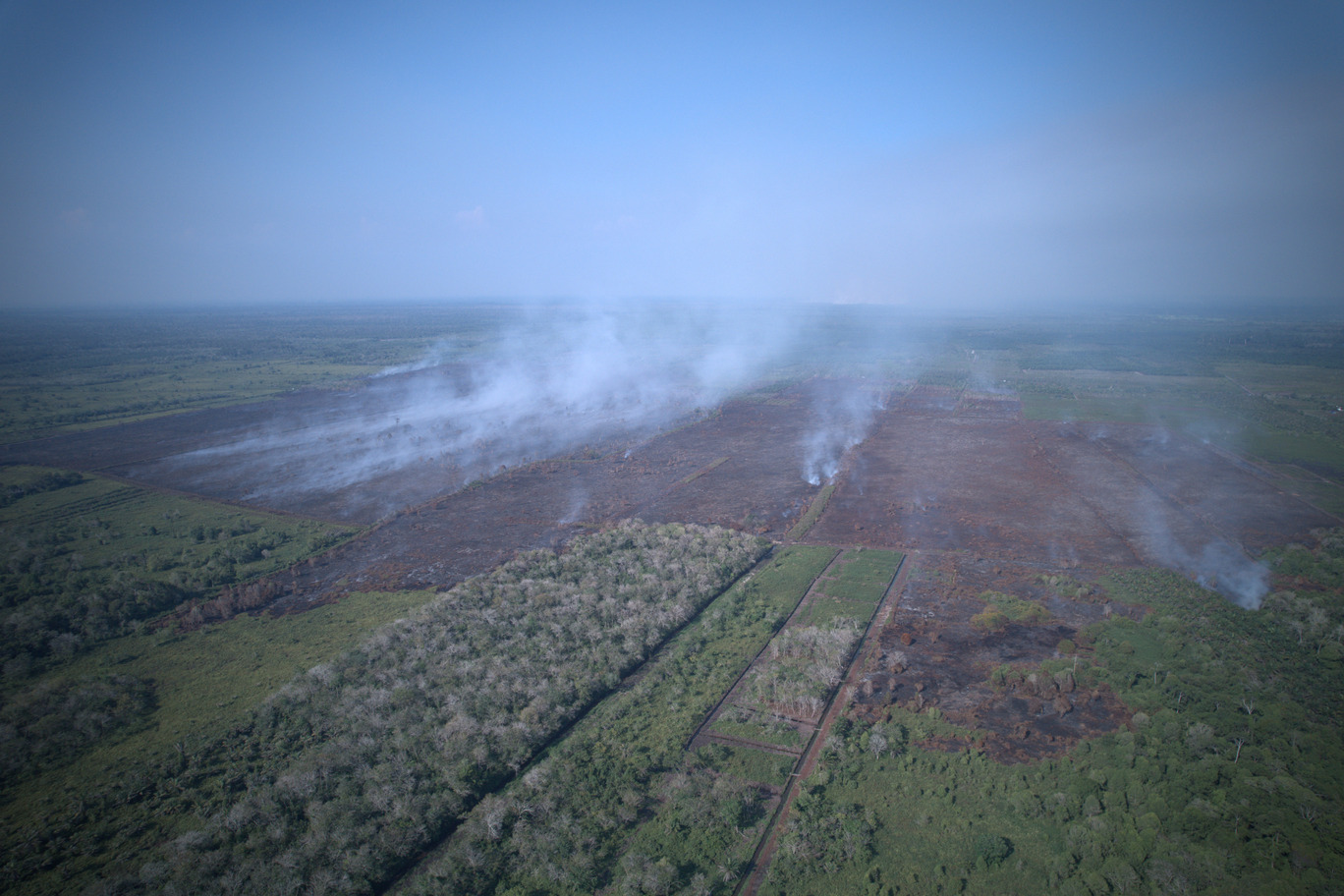 Kebakaran hutan dan lahan di Aceh Barat ©Apel Green Aceh
