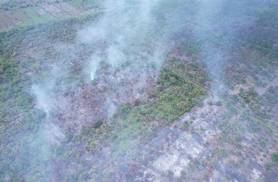Kebakaran hutan dan lahan di Aceh, Agustus 2026 ©Apel Green Aceh