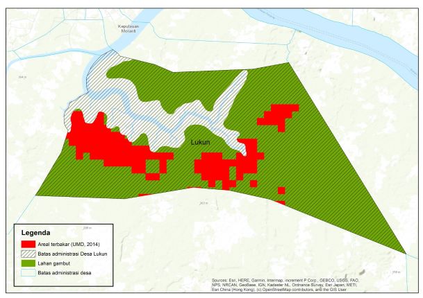 Area terbakar di kawasan hutan Desa Lukun pada 2014. Visualisasi oleh Pantau Gambut (2021)