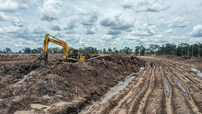 Eskavator melakukan pembukaan lahan pada area hutan yang akan digunakan untuk proyek Food Estate di Sepang, Gunung Mas, Kalimantan Tengah ©Muhamad Habibi / Save Our Borneo / Greenpeace