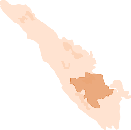 Sumatra Selatan