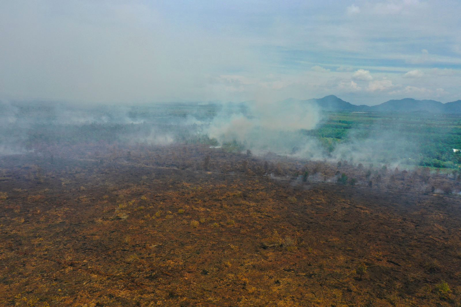 Karhutla di Kalimantan Barat pada April 2026 (©Walhi Kalbar)