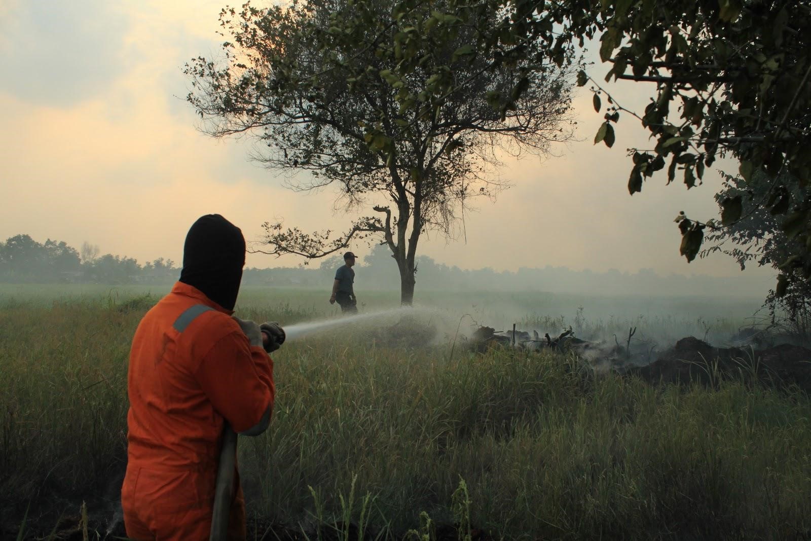 Pemadaman api di lahan kosong oleh petugas dan masyarakat ©Parliza Hendrawan