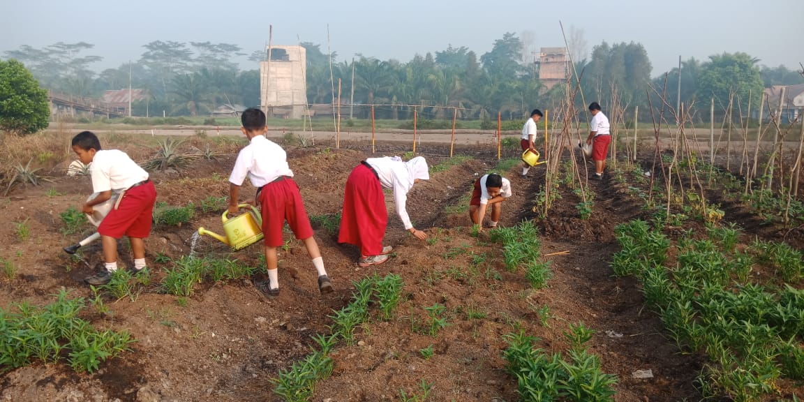 School gardens serve as a medium for the student to learn about the environment ©Malinda