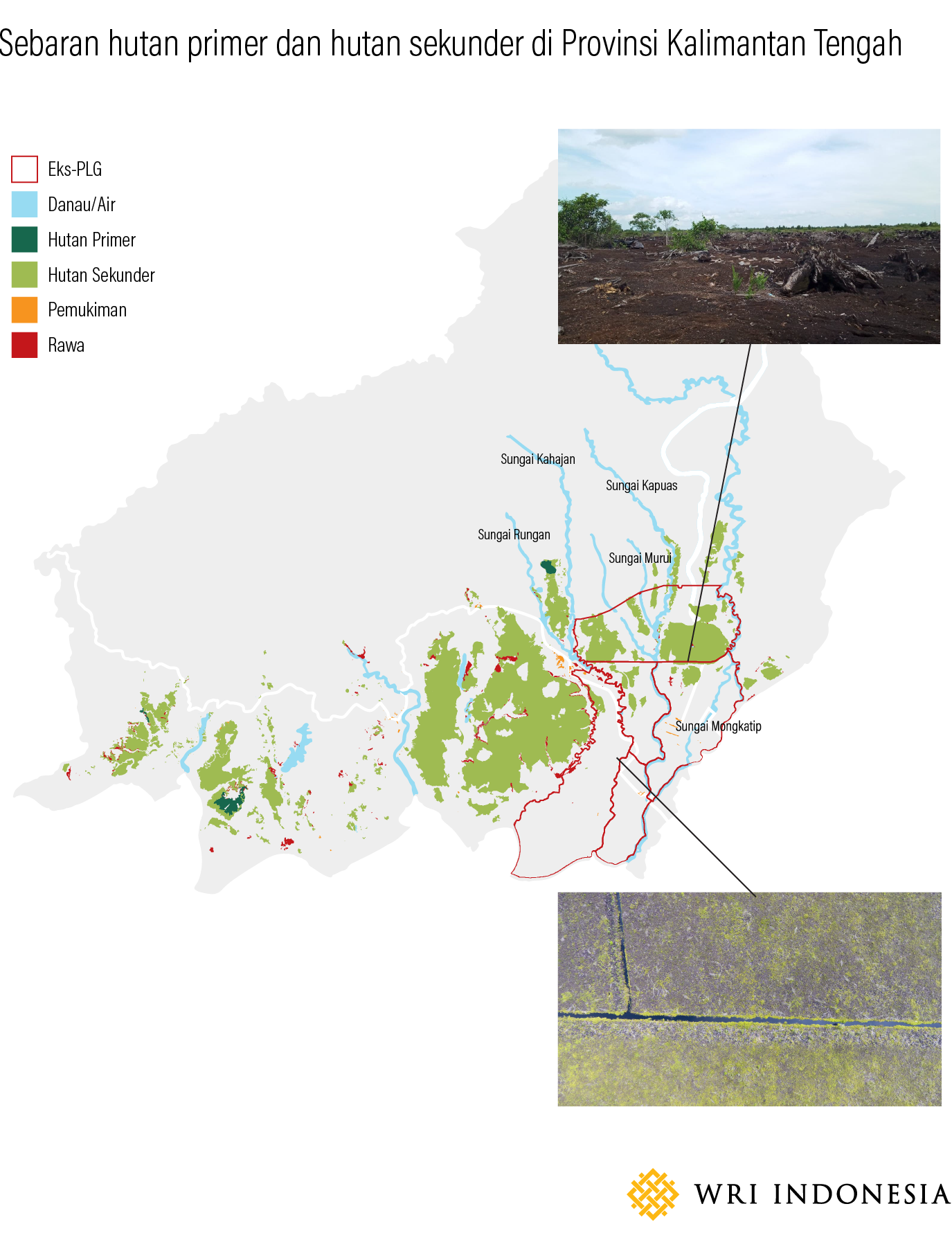 Sebaran Hutan Primer dan Hutan Sekunder di Provinsi Kalimantan Tengah. Sumber: Kementrian Lingkungan Hidup dan Kehutanan (KLHK, 2019)
