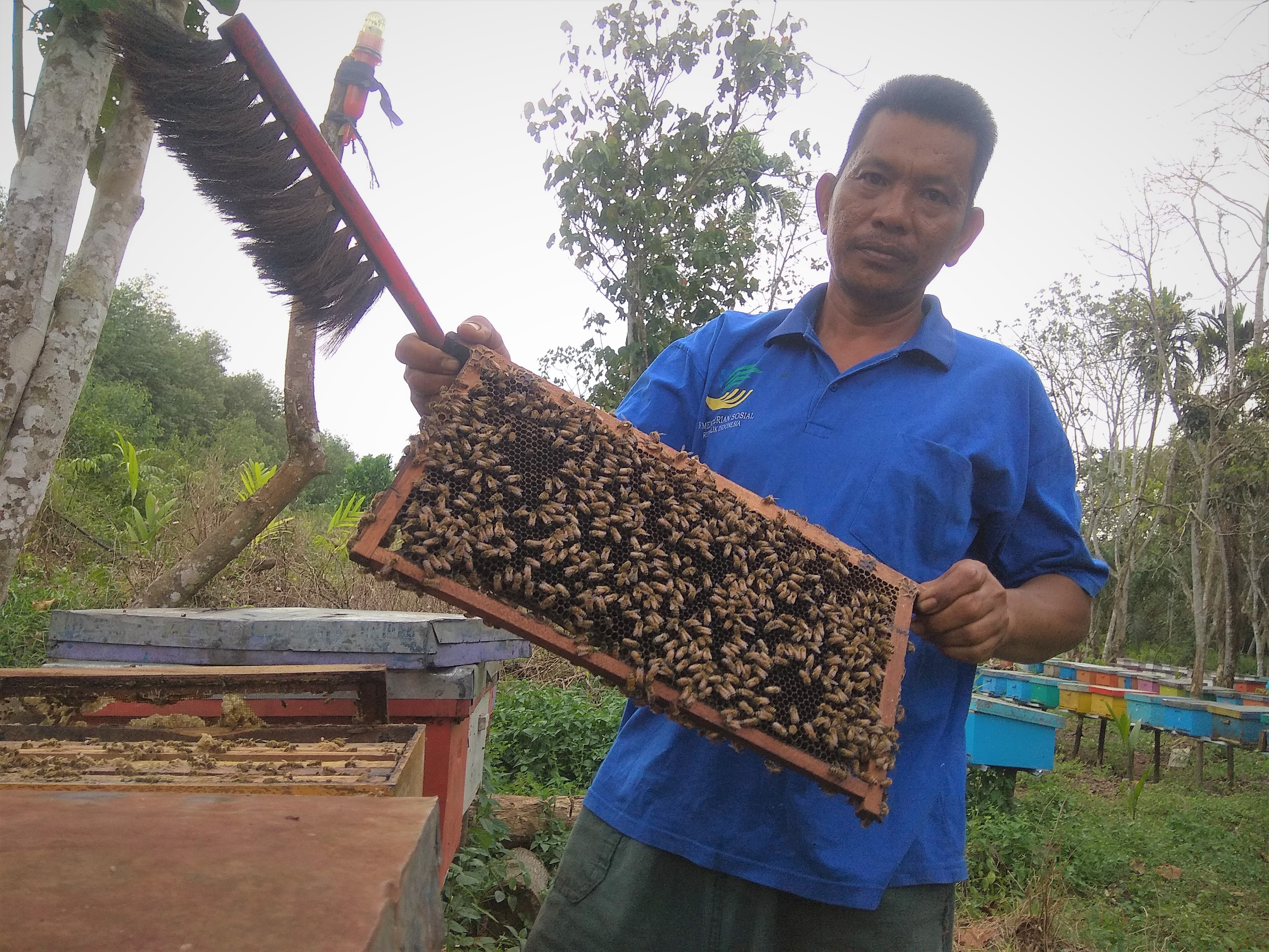 Iwanto, a former logger who has now chosen to become a beekeeper ©Yitno Suprapto