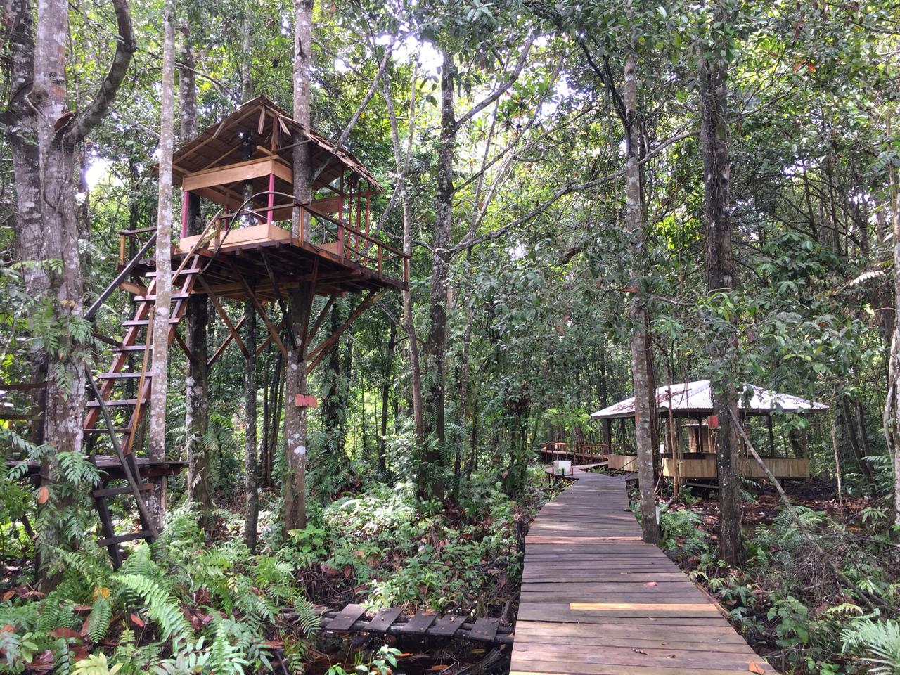 Rumah pohon (kiri) tempat pengunjung bersantai di Taman Ekowisata Kebon Sari,  6 Oktober 2020. Dokumentasi: Komunitas Konservasi Indonesia (KKI) Warsi