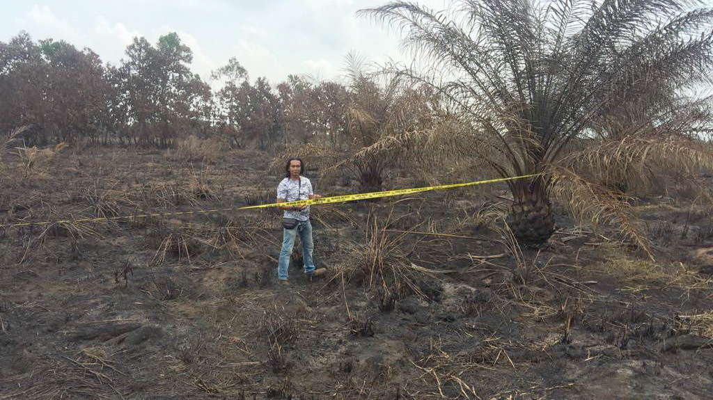 Feri Irawan, Director of Green Society, Pantau Gambut Simpul Jaringan, visits the fire and surrounding areas in Muntialo Village. Police line has been installed. © Feri Irawan/Perkumpulan Hijau