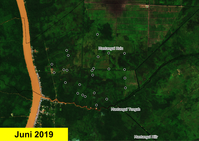 Gambar 8. Hasil verifikasi citra satelit mengenai titik koordinat lokasi target ekstensifikasi sawah padi di Desa Mantangai Hulu, Kabupaten Kapuas